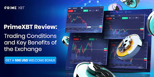 Understanding PrimeXBT Forex The Future of Trading