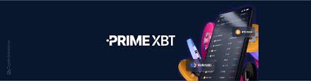 Maximize Your Trading Potential with PrimeXBT Forex
